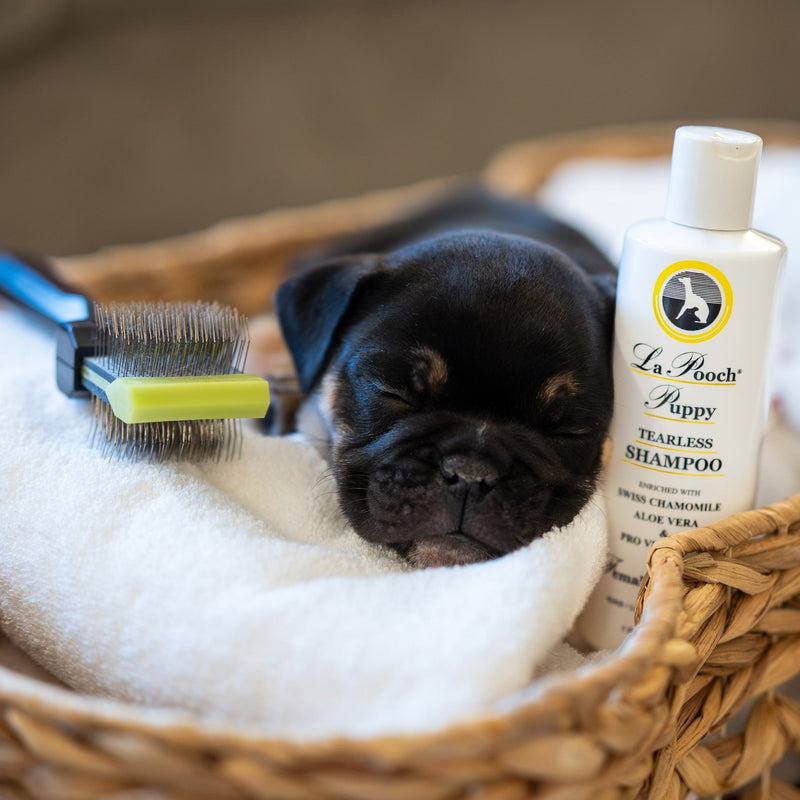 Pack chiot Les Poochs kit complet